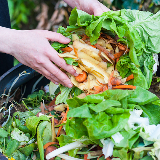 Compost and Worm Farming Workshop